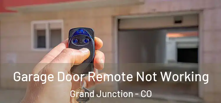  Garage Door Remote Not Working Grand Junction - CO