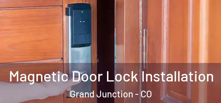  Magnetic Door Lock Installation Grand Junction - CO